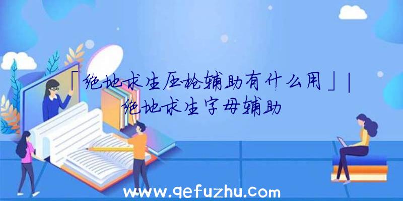 「绝地求生压枪辅助有什么用」|绝地求生字母辅助